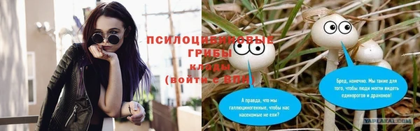 шишки Володарск