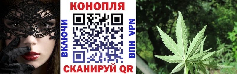 дарнет шоп  Кадников  Бошки Шишки планчик 